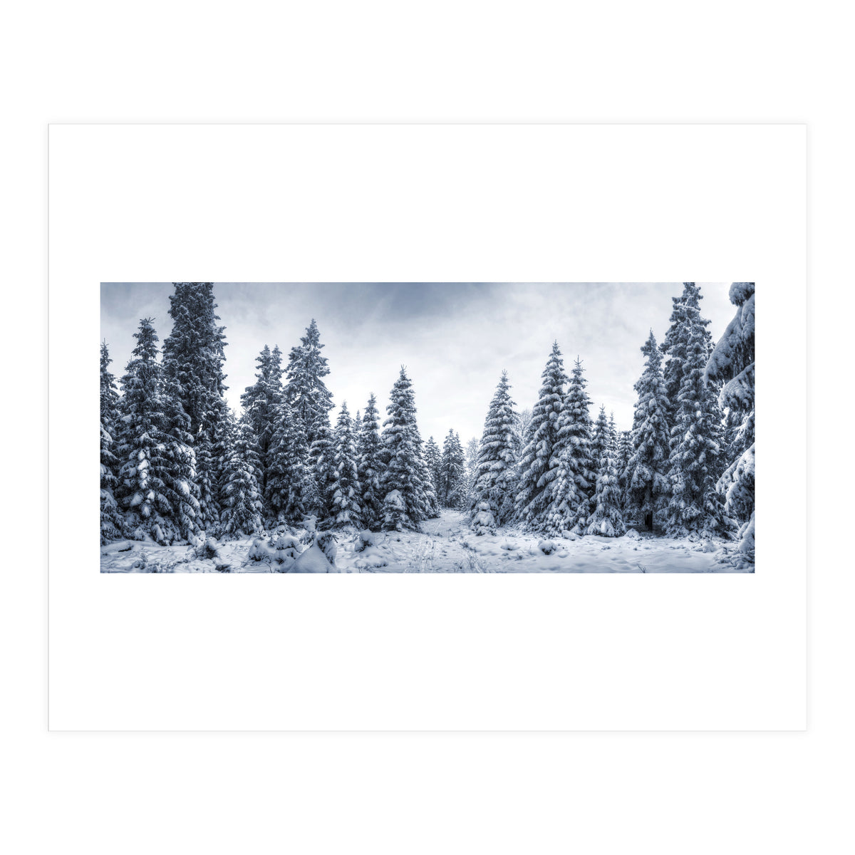 Winterland (Print Only)