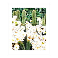 Cactus & Bloom (Print Only)
