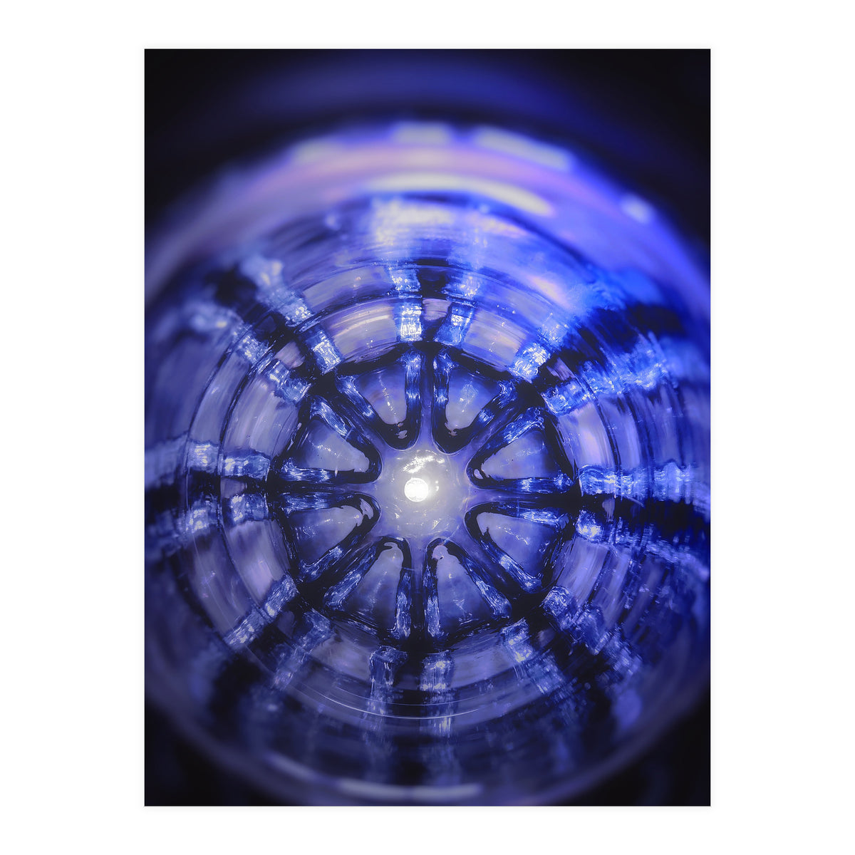 Lucky Reflection (Print Only)