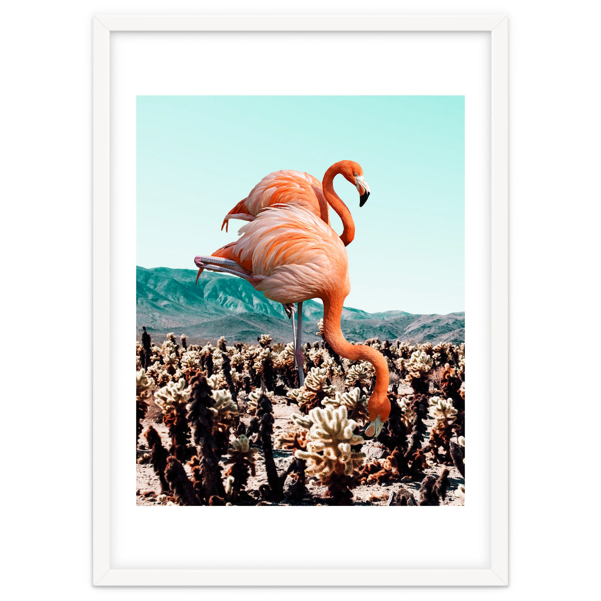 Flamingos In The Desert