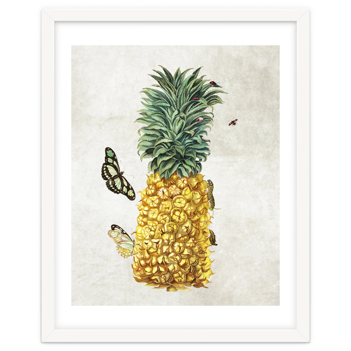 ananas