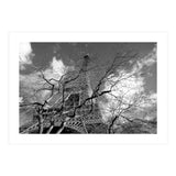 Eiffel Tower, Paris (Print Only) thumbnail