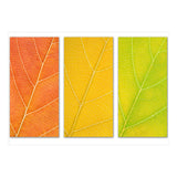 Autumn Leaves (Print Only) thumbnail