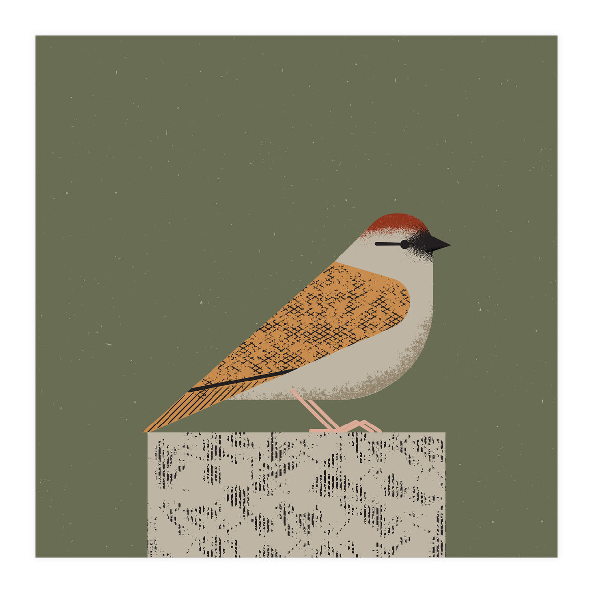 Sparrow  (Print Only)