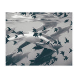Found Out (Print Only) thumbnail