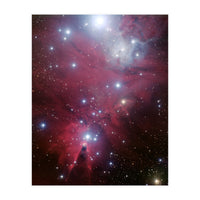 The Christmas Tree Cluster (Print Only)