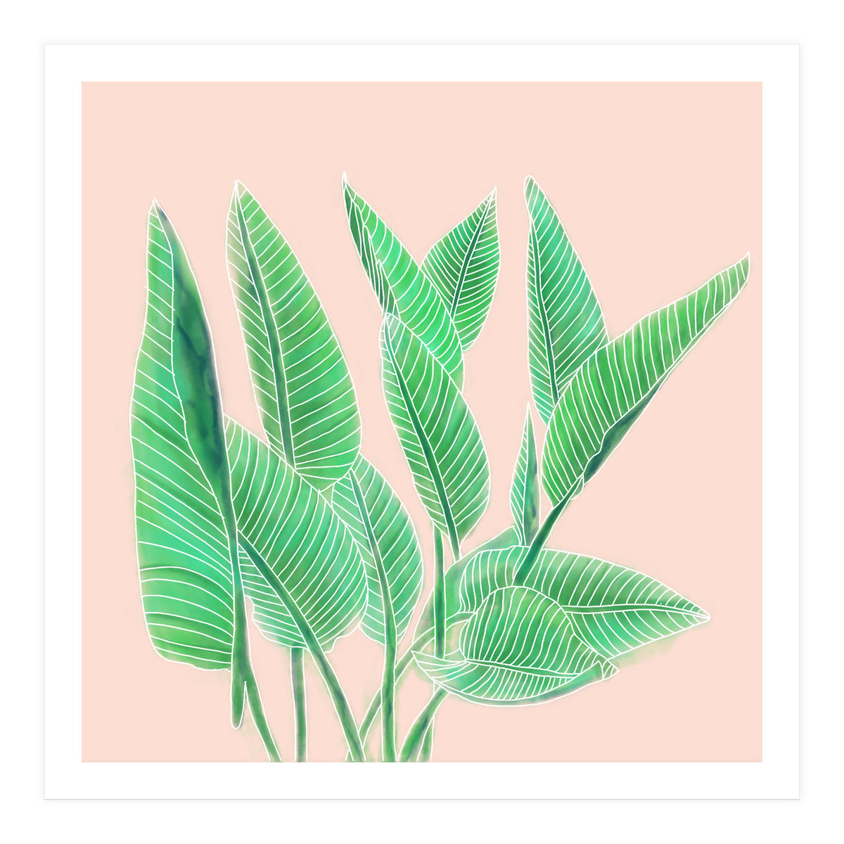 Modern Hand Painted Tropical Green Watercolor Leaf Bird Of Paradise On Pastel Pink (Print Only)