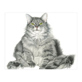 Fatcatred (Print Only) thumbnail