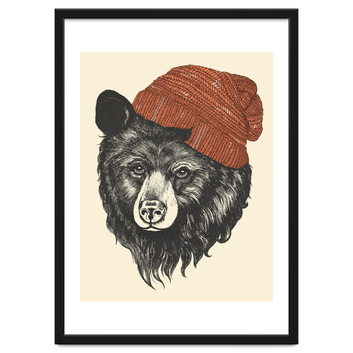 Zissou The Bear