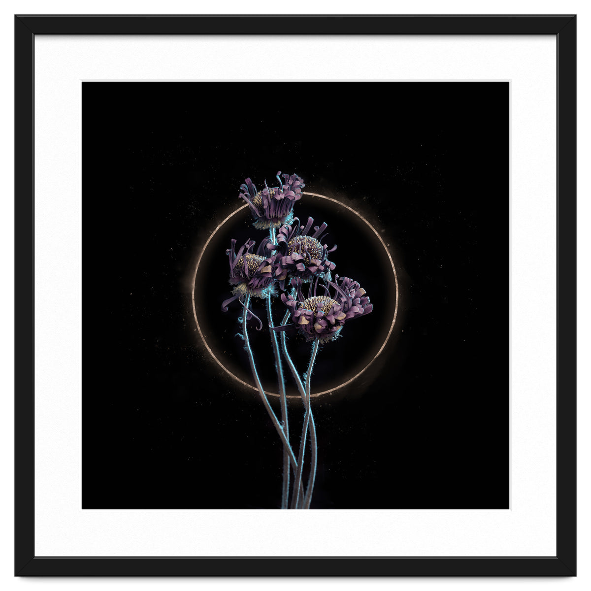 Candy-Coloured Mystery