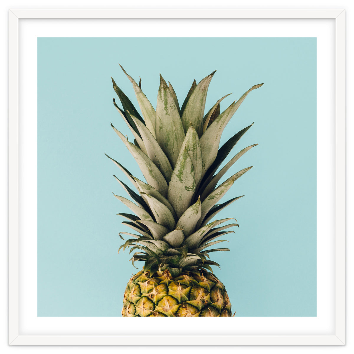 Pineapple On Blue Background