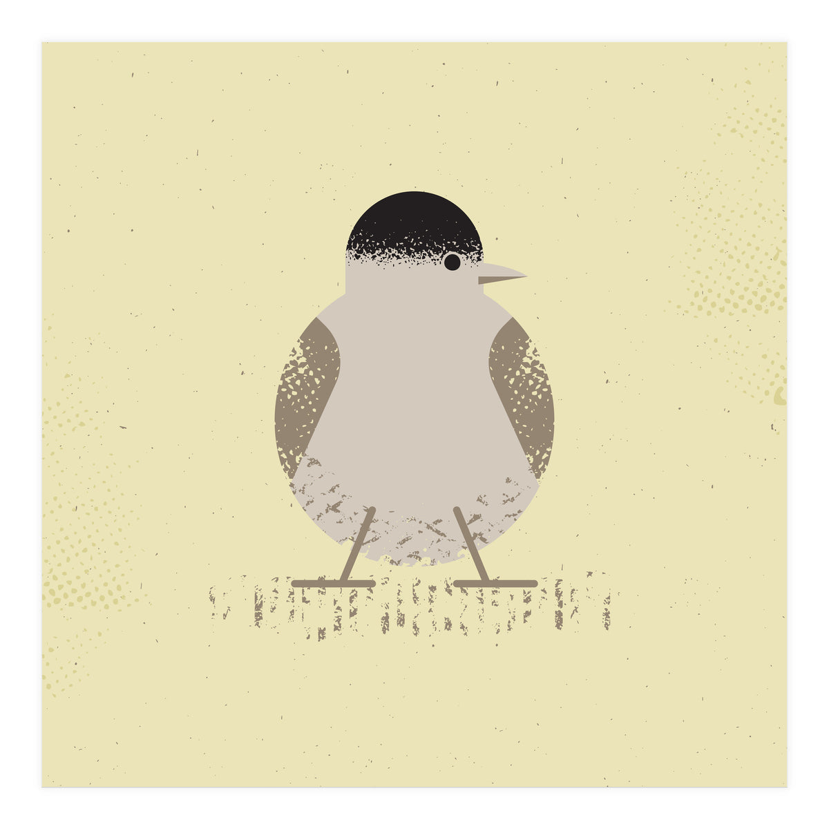 Blackcap 2 (Print Only)