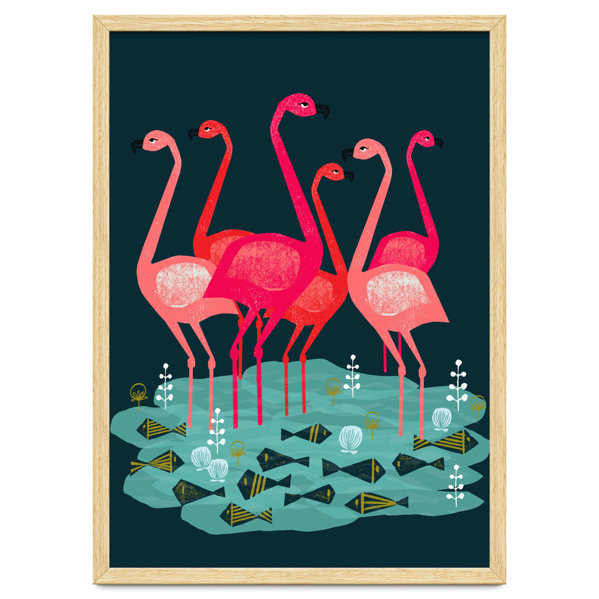 Flamingo