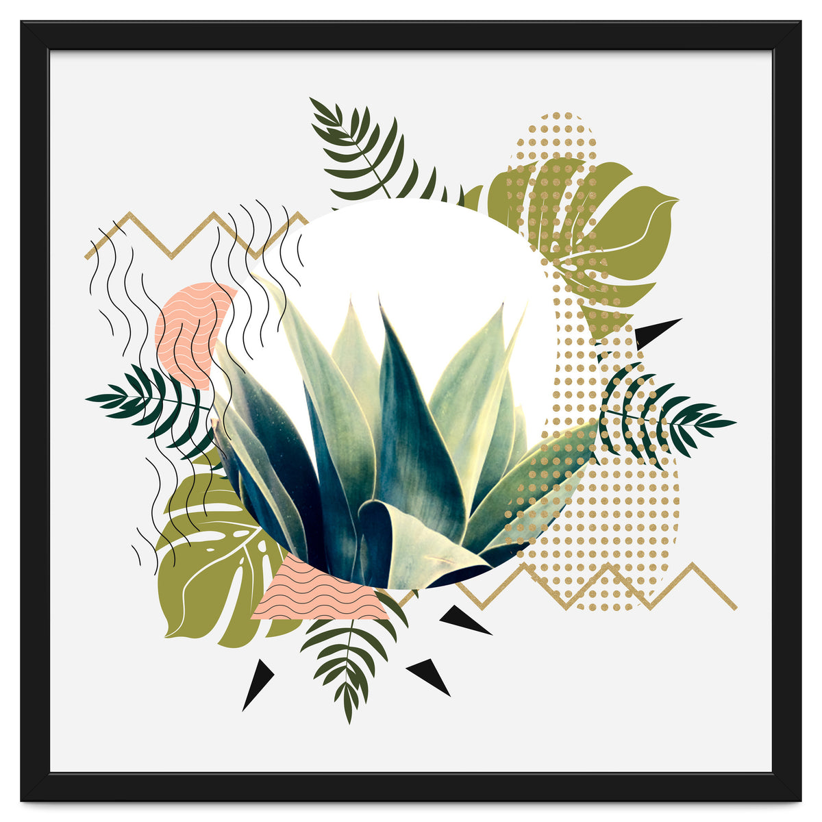 Abstract geometrical and botanical shapes