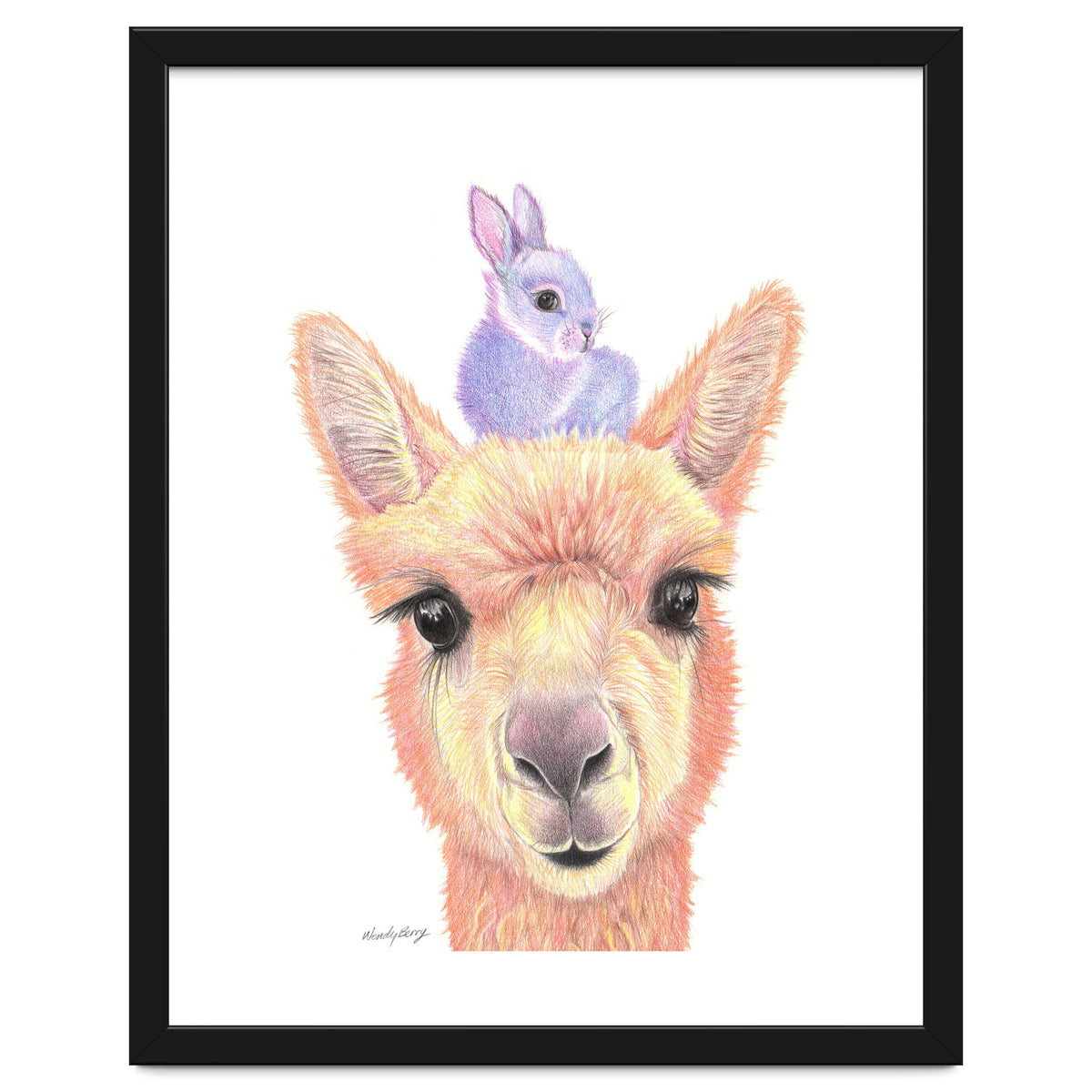 Alpaca and Bunny