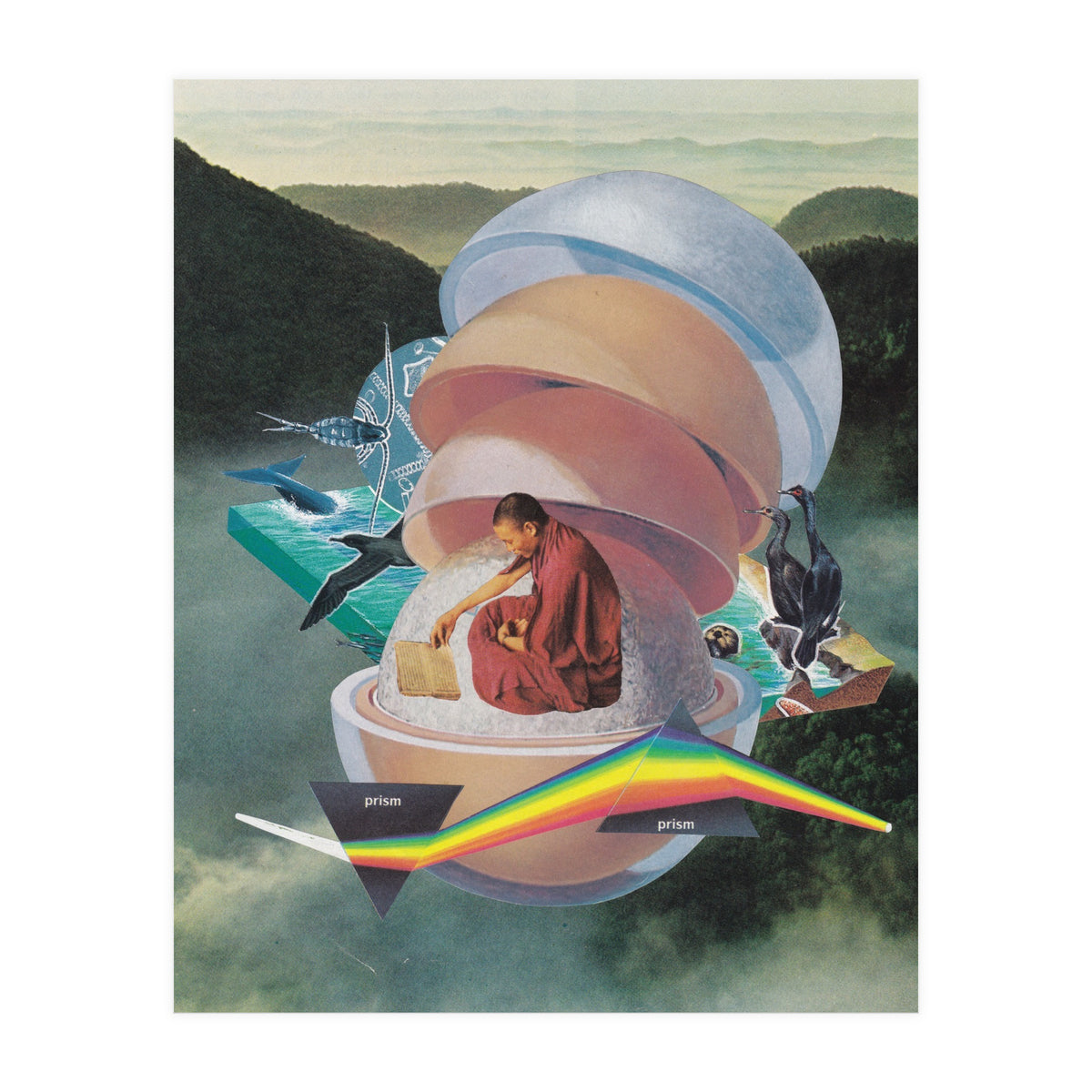 Open Book, Open World (Print Only)