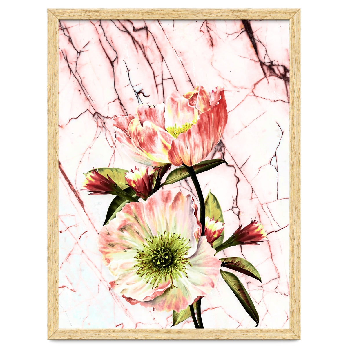 Flowering on pink marble