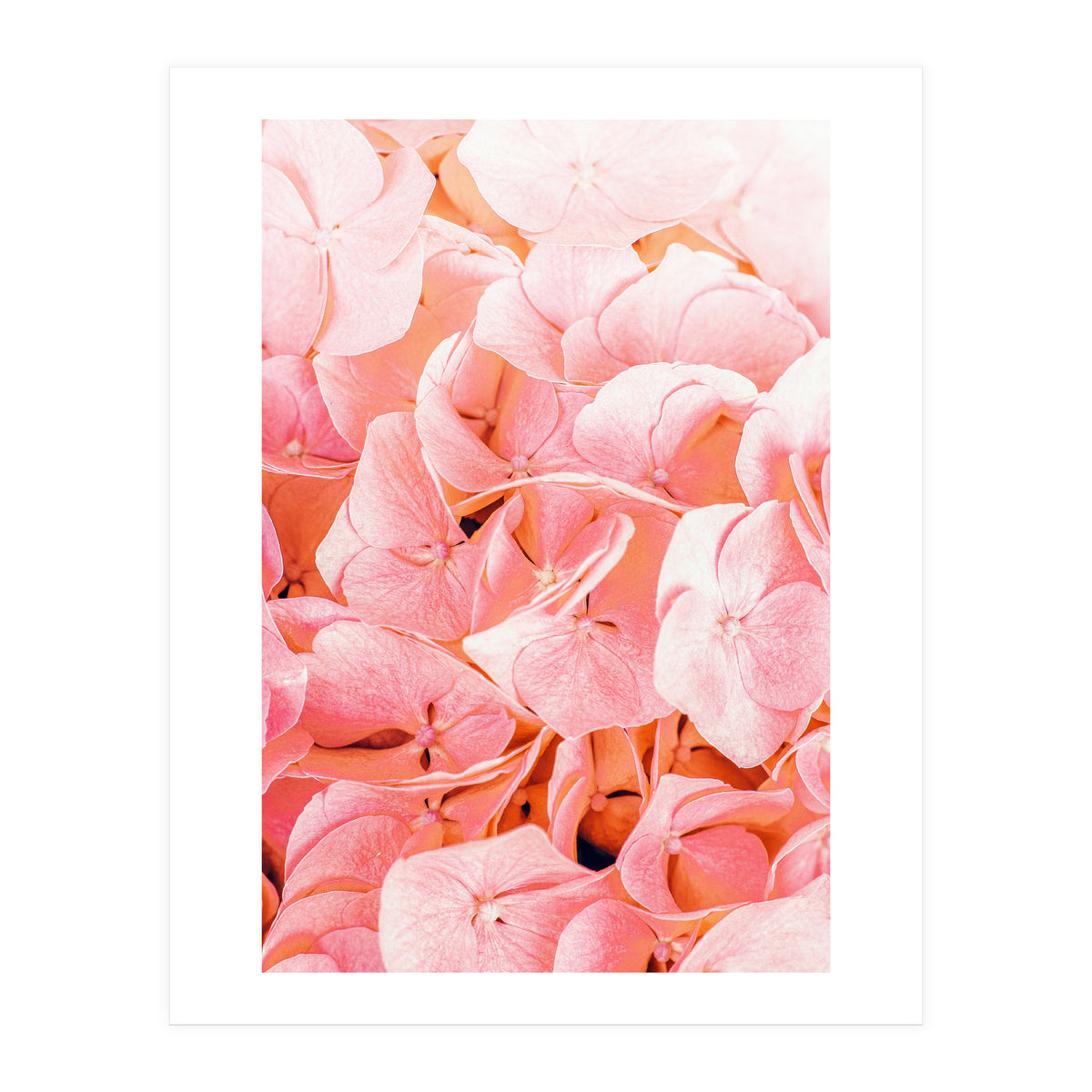 Blushing (Print Only)