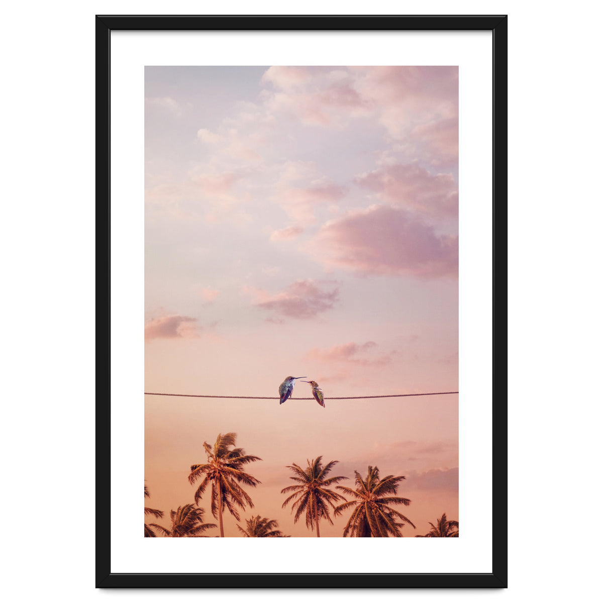 Hummingbirds In Love