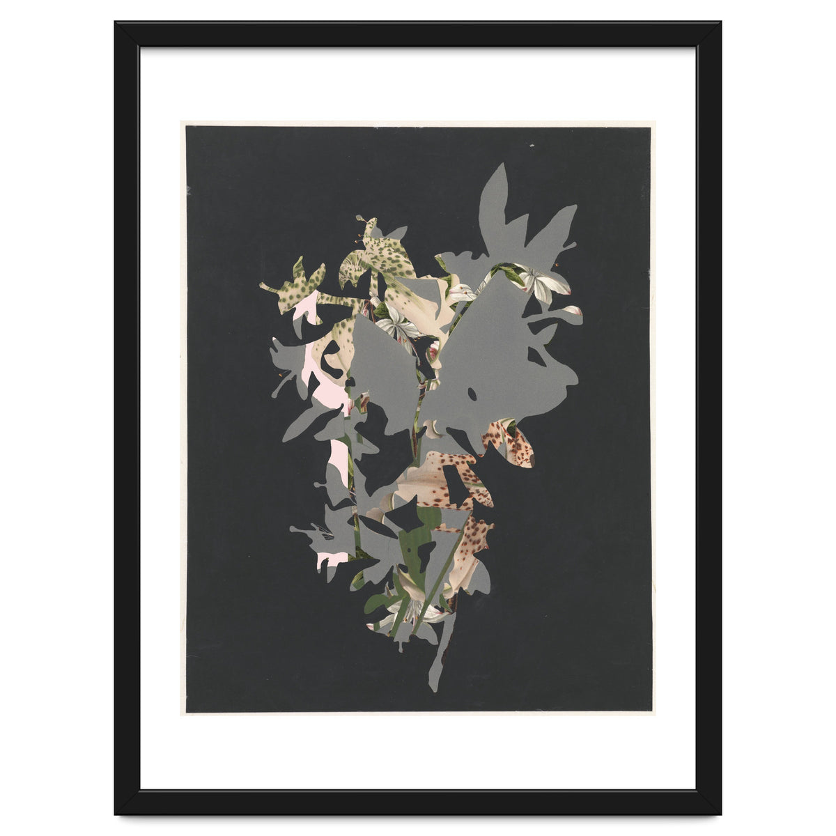 The First Plant · Black