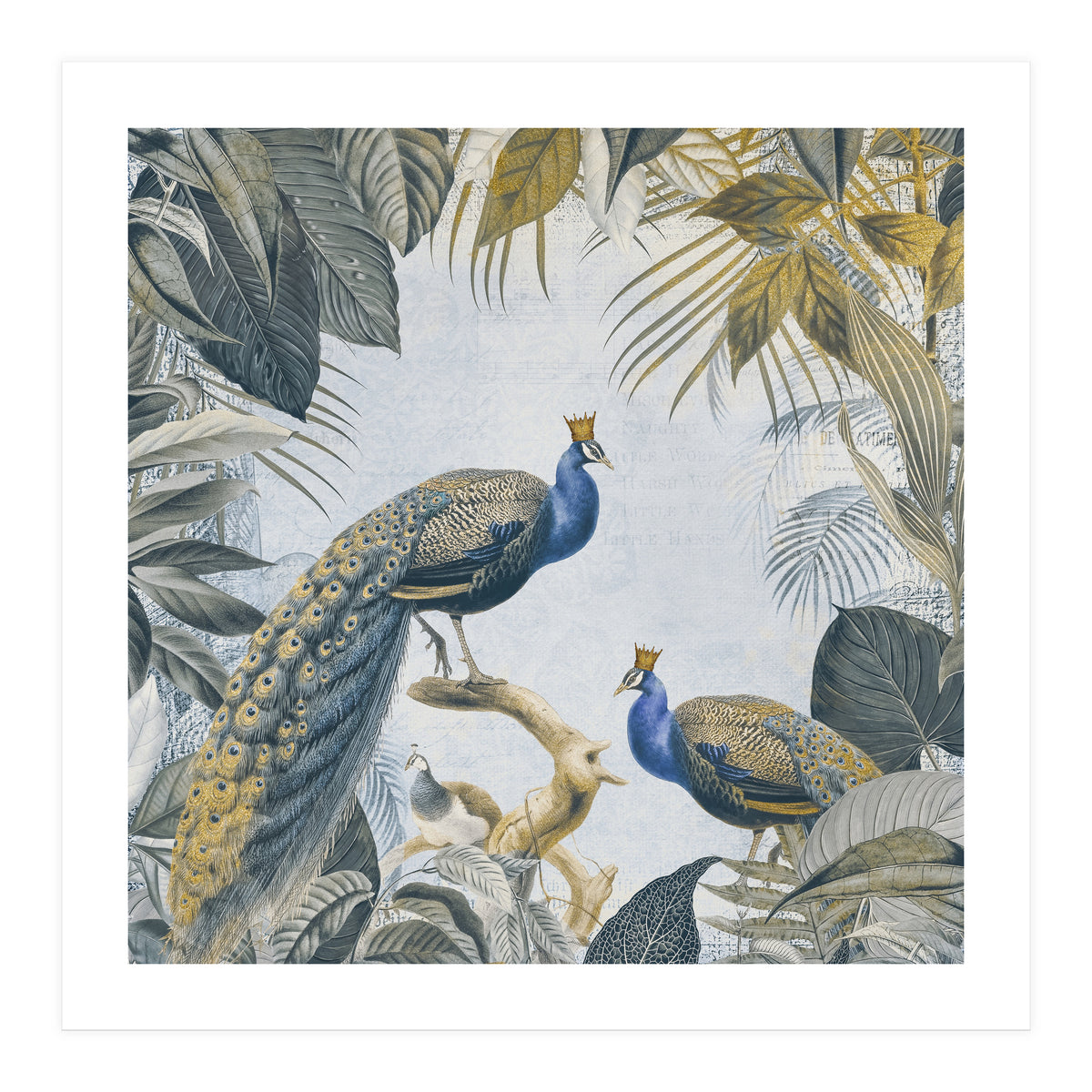 Fantastic Peacock Kings Gold Look (Print Only)