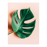 Monstera Shadow (Print Only)