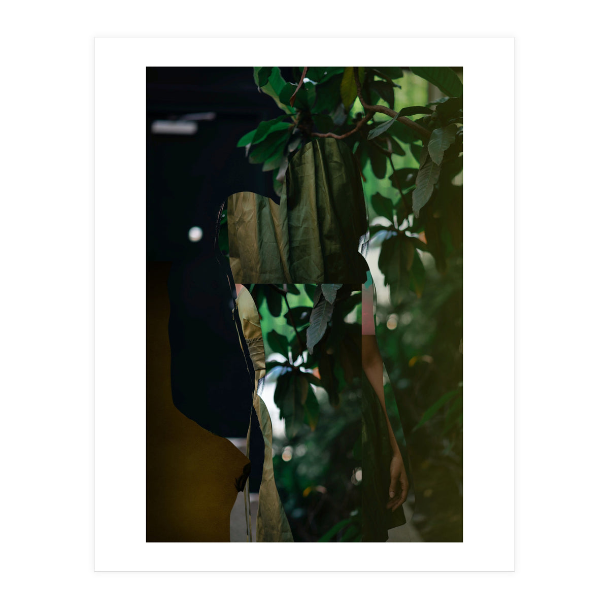 Disappeared Dreams 5 (Print Only)