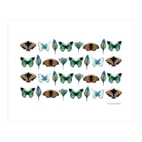 Spring Butterflies (Print Only) thumbnail