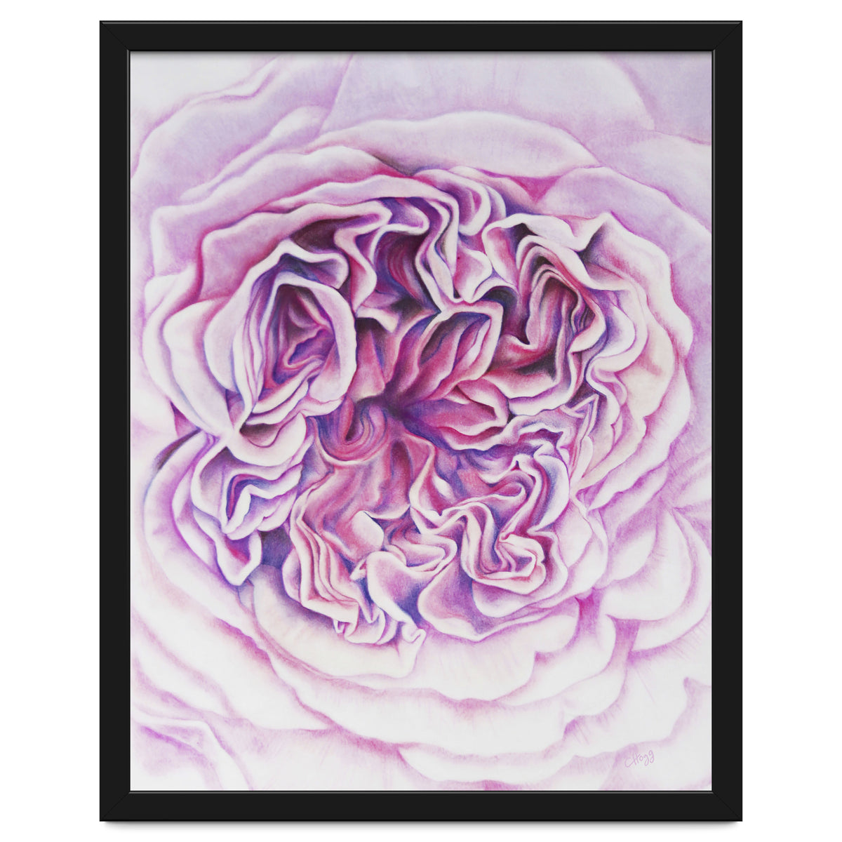 A Rose Is A Rose Std