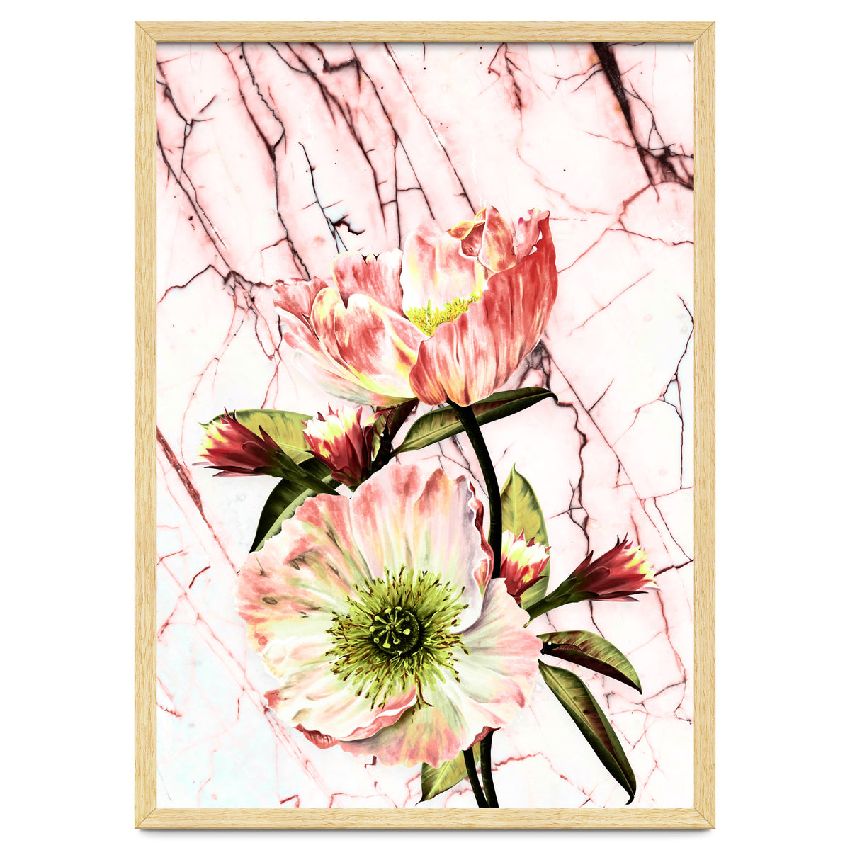 Flowering on pink marble