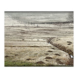 Wet meadows (Print Only) thumbnail