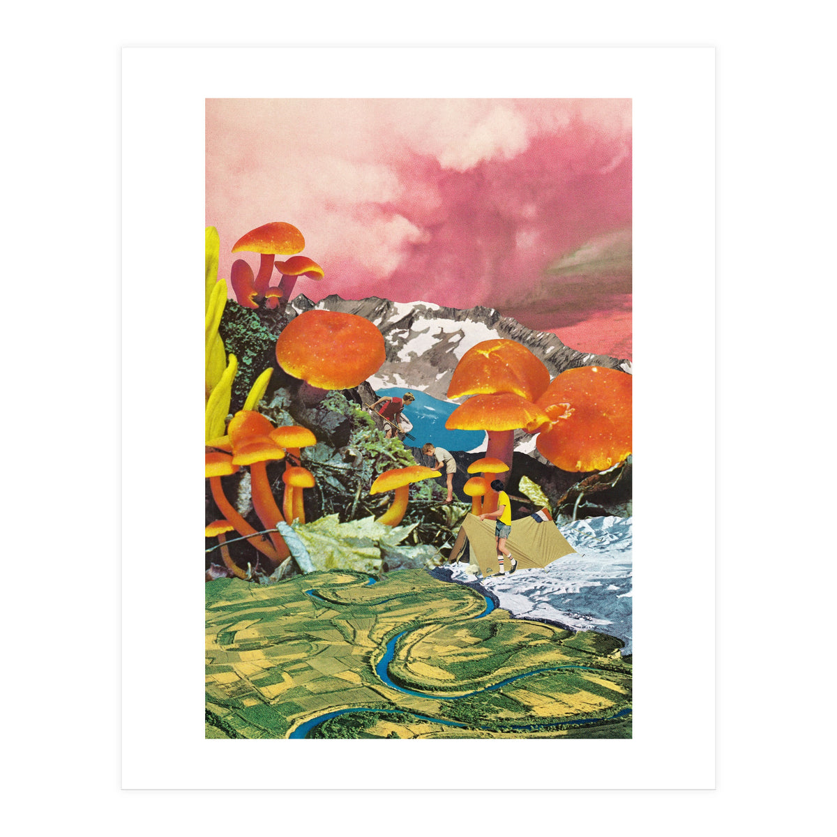 Mushroom Valley (Print Only)