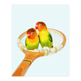 Retro Birds (Print Only) thumbnail