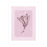 Magnolia Minimal Contemporary Botanical Floral (Print Only)