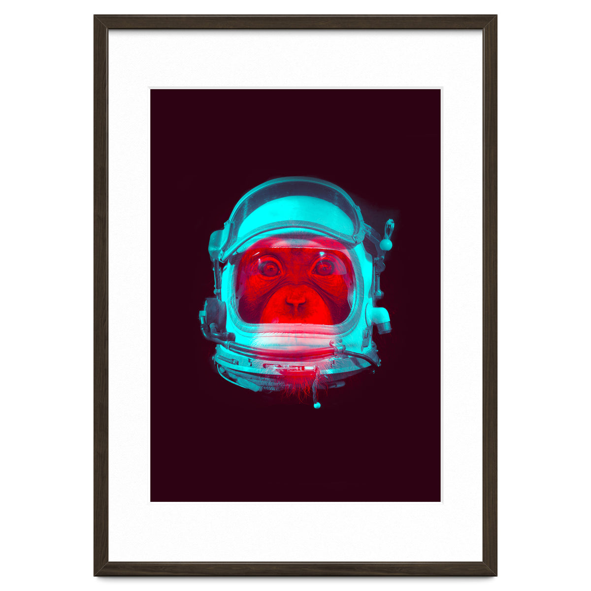 Astronaut
