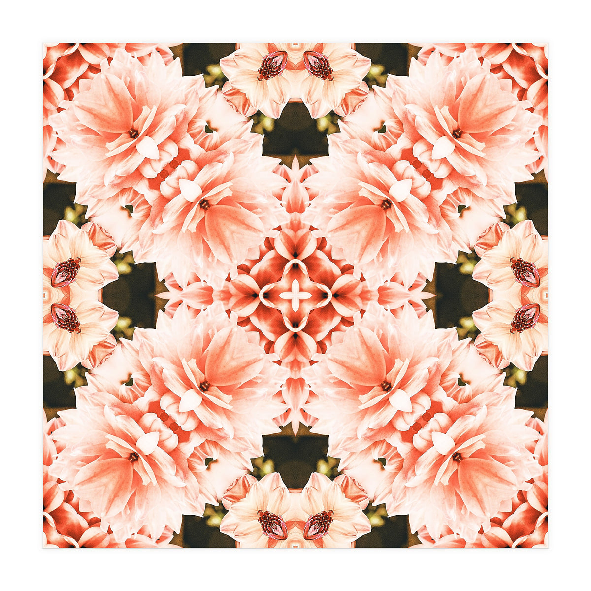 Blush Mandala (Print Only)