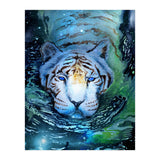 Galaxy Swim (Print Only) thumbnail