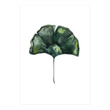 Botanical Illustration Ginko (Print Only) thumbnail