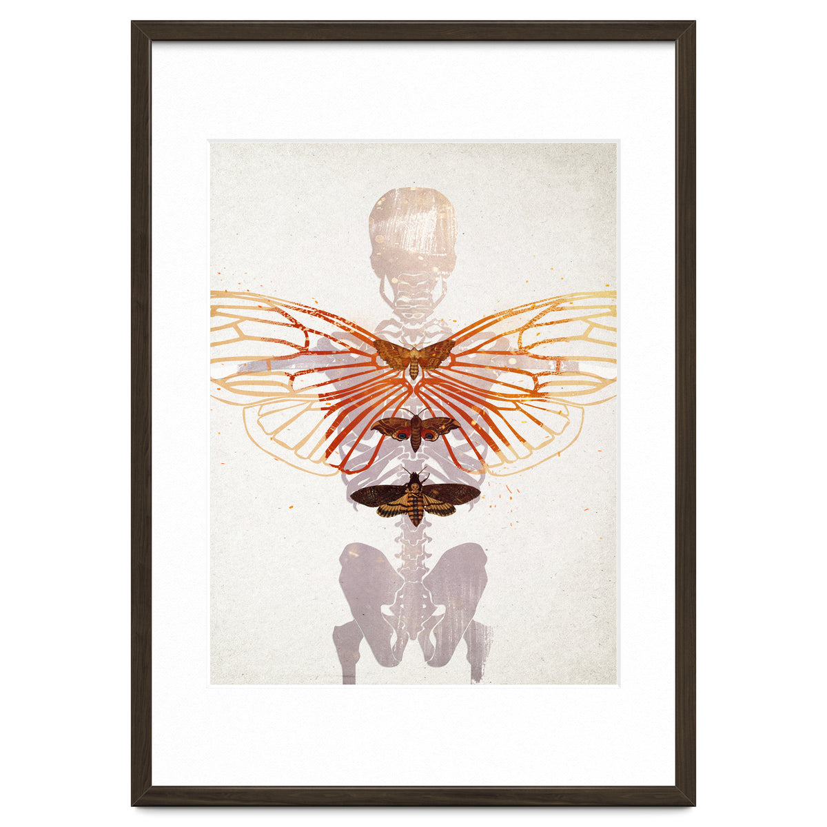 Ikarus - Like a Moth to the Flame