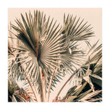 Morning Star (Print Only) thumbnail