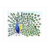 Peacock (Print Only) thumbnail