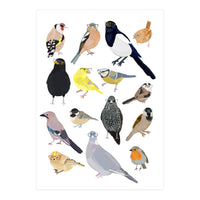 UK Birds in Glasses (Print Only)