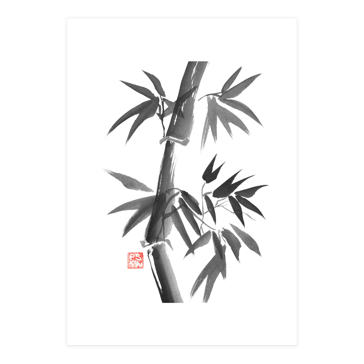 Bamboo 01 (Print Only)