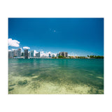 305 (Print Only) thumbnail