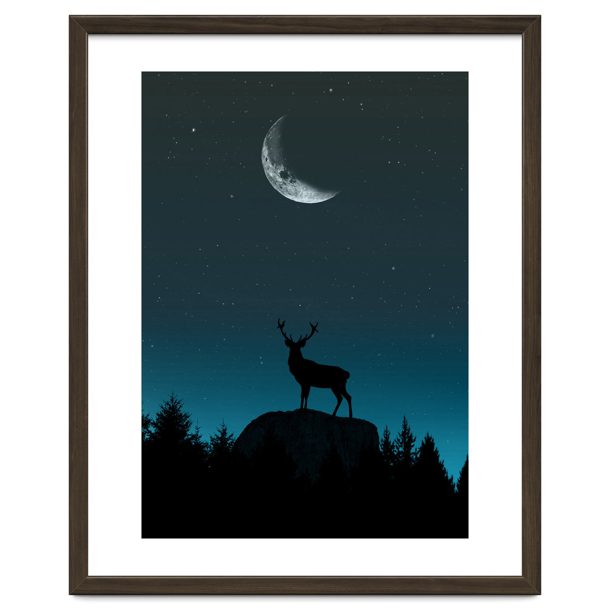 Wild Nature - Nocturne