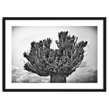 Cut down tree top thumbnail