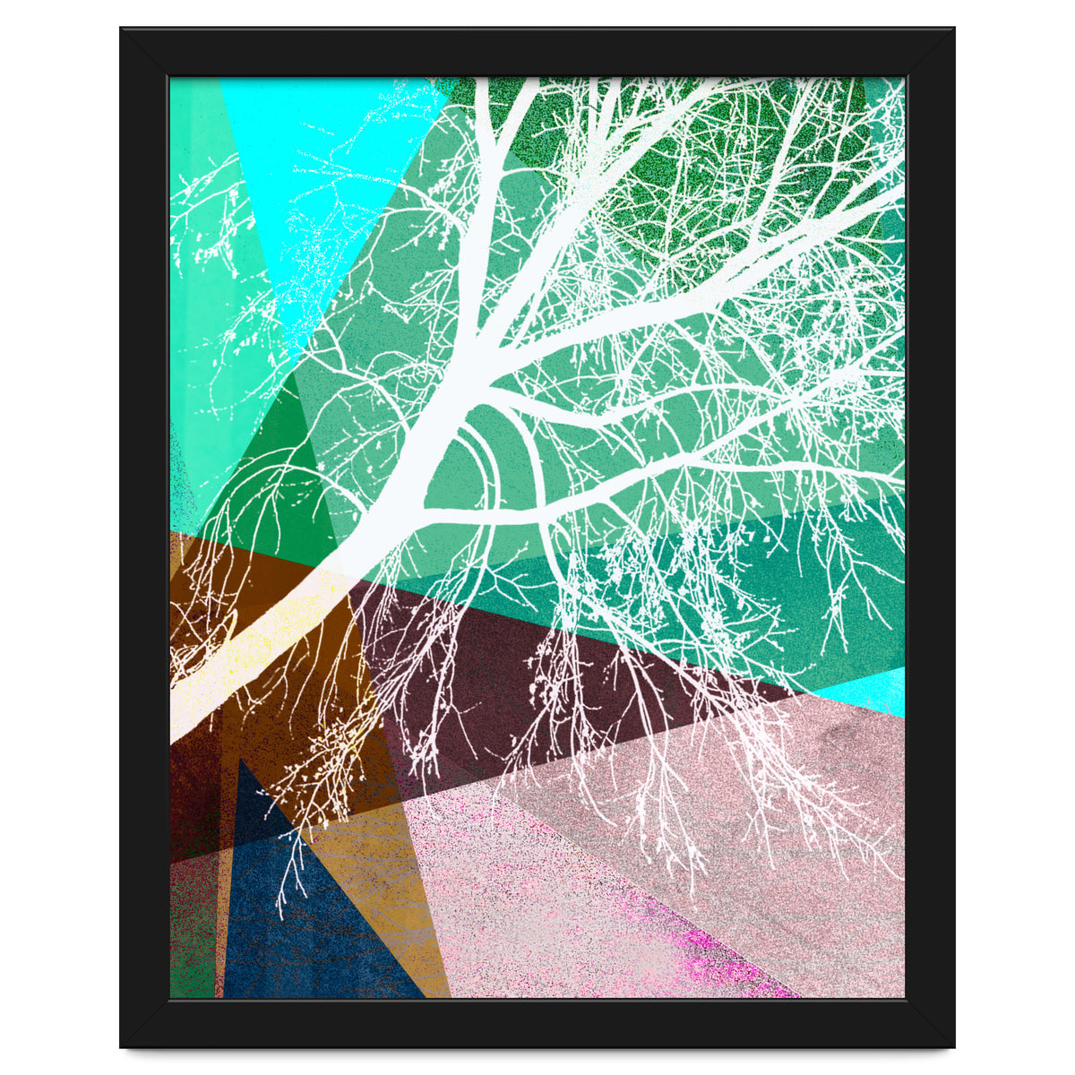 P16-H Trees And Triangles