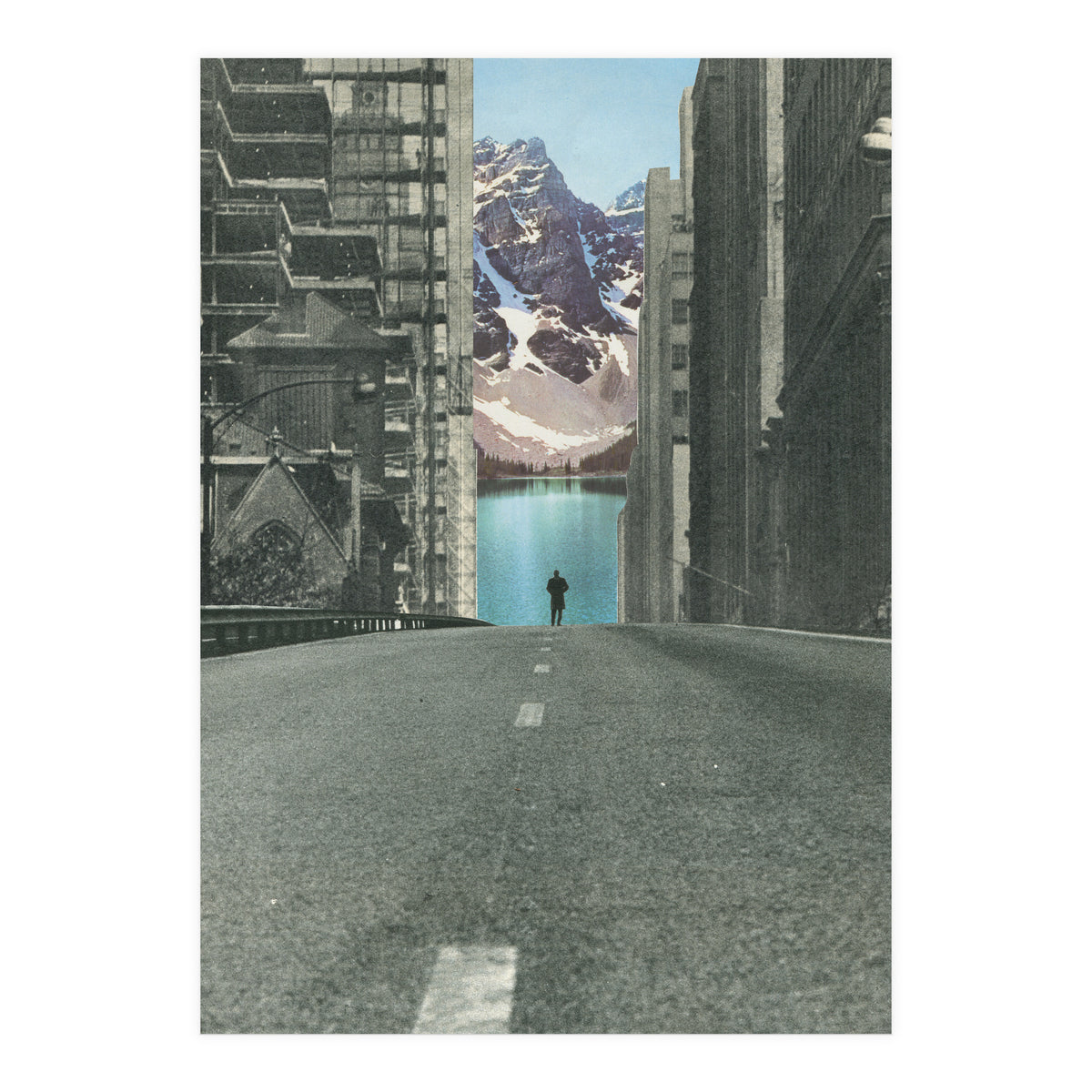 Into The Wild (Print Only)