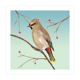 Bohemian waxwing (Print Only) thumbnail