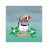 Zebra finch (Print Only) thumbnail